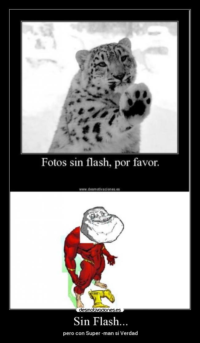 Sin Flash... - 
