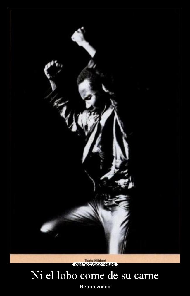 carteles katana desmotivaciones