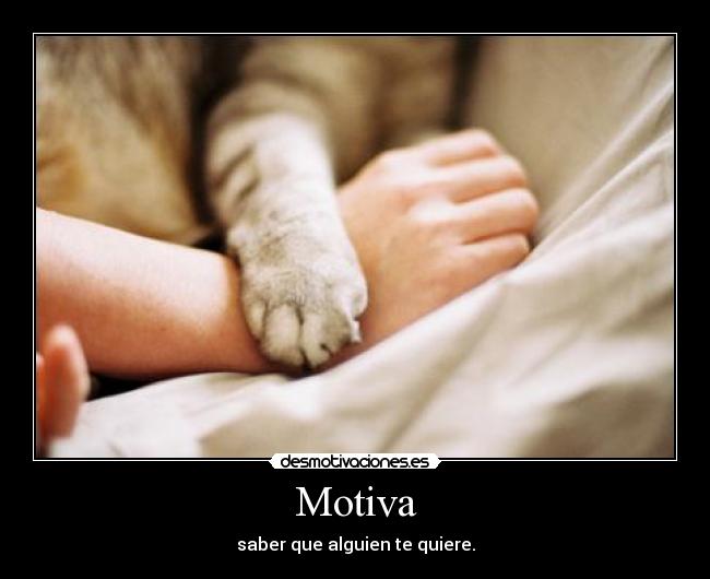 Motiva - saber que alguien te quiere.