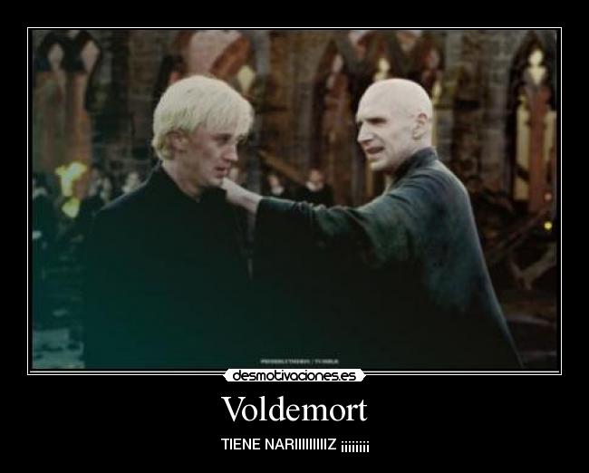 Voldemort - TIENE NARIIIIIIIIIZ ¡¡¡¡¡¡¡¡