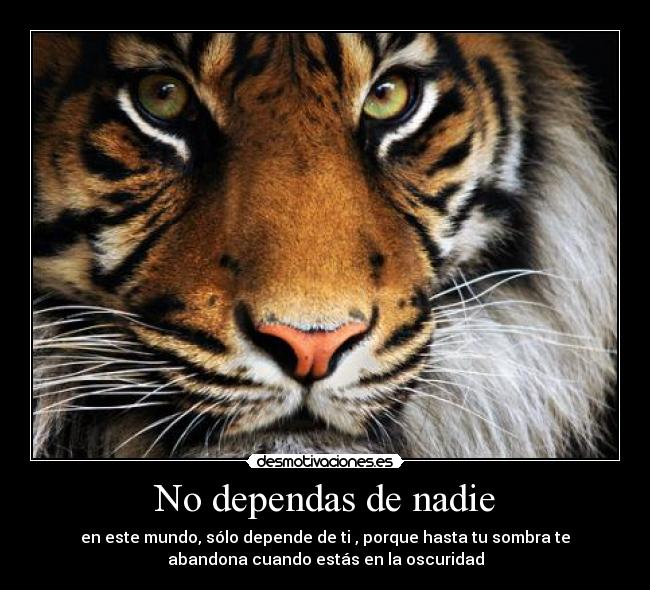 No dependas de nadie -