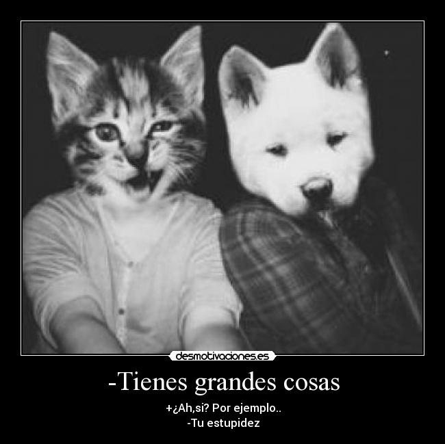 -Tienes grandes cosas - +¿Ah,si? Por ejemplo..
-Tu estupidez