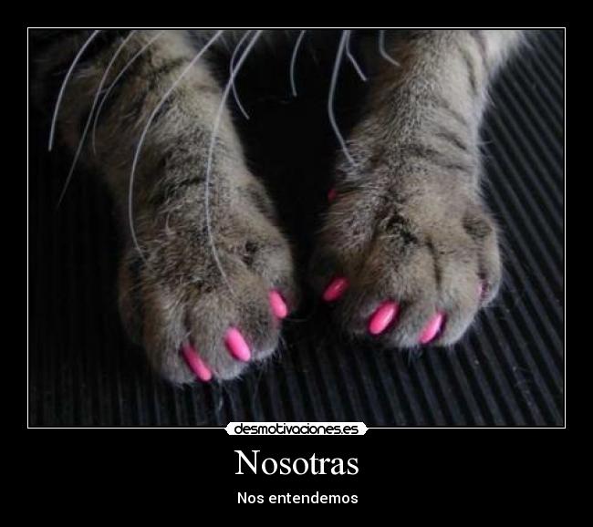 Nosotras - Nos entendemos