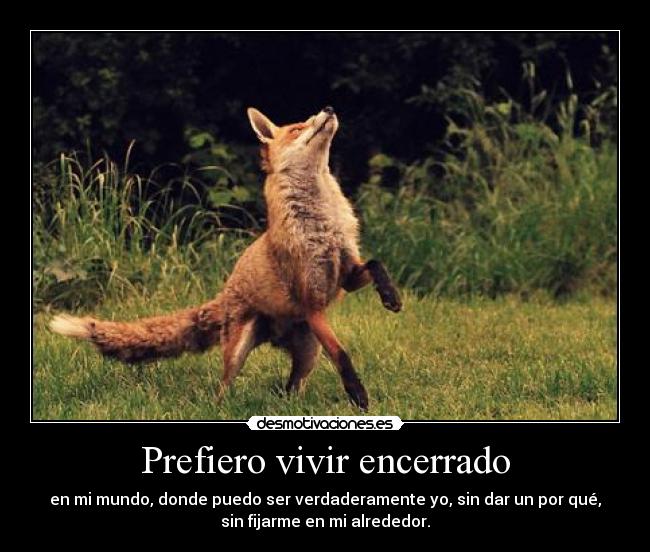Prefiero vivir encerrado - en mi mundo, donde puedo ser verdaderamente yo, sin dar un por qué,
sin fijarme en mi alrededor.