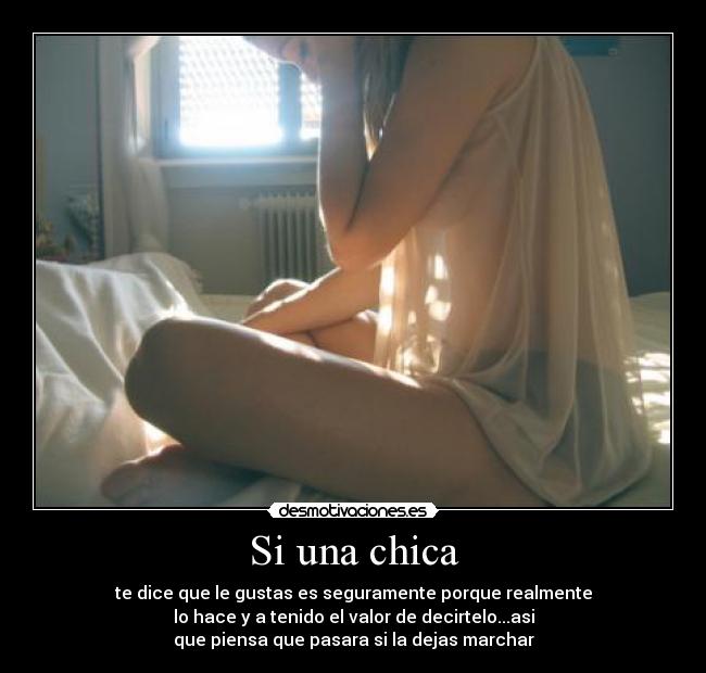 carteles quiere desmotivaciones