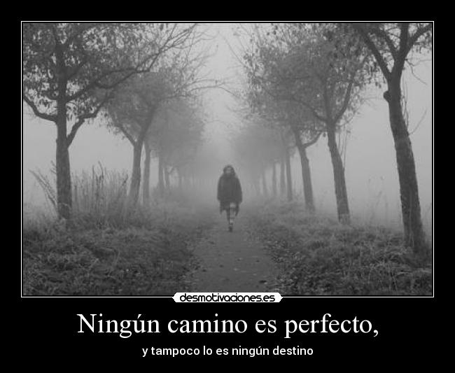Ningún camino es perfecto, -