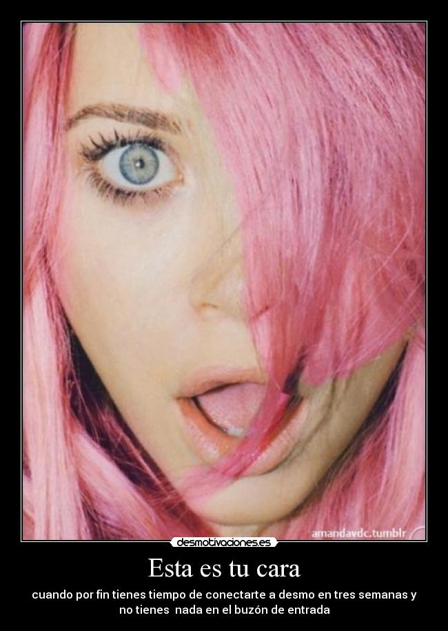Esta es tu cara - cuando por fin tienes tiempo de conectarte a desmo en tres semanas y
no tienes nada en el buzón de entrada
