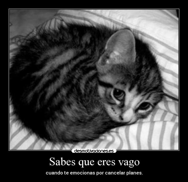 Sabes que eres vago - 