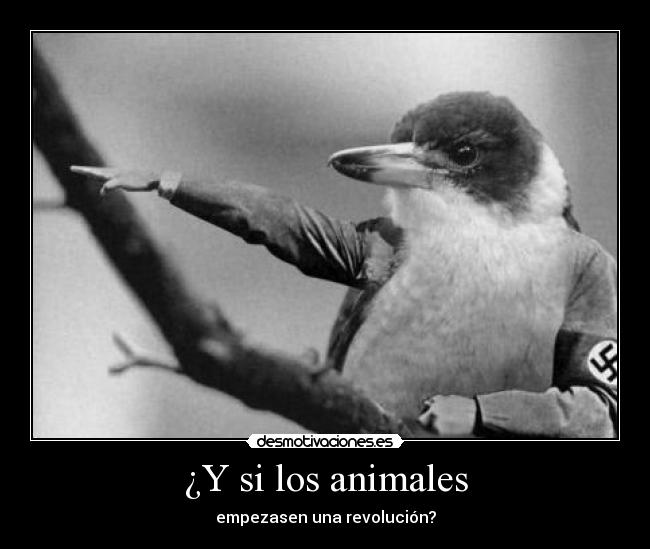 ¿Y si los animales - empezasen una revolución?