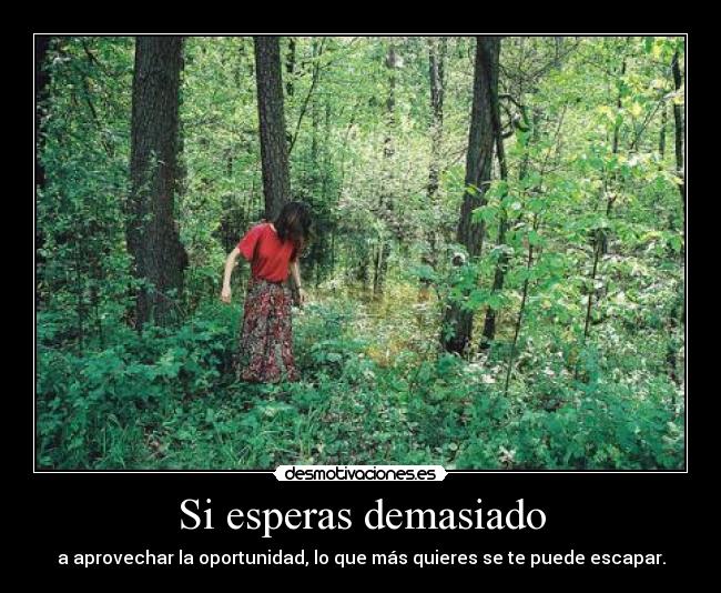 Si esperas demasiado -