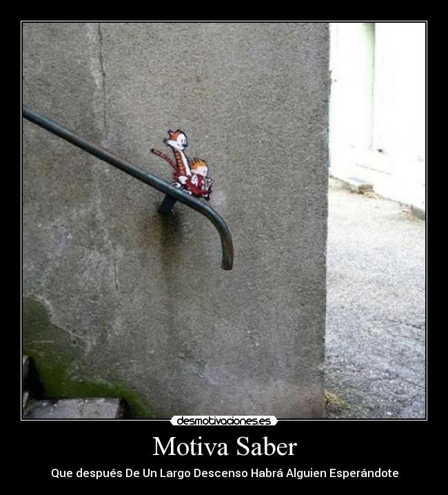 Motiva Saber - 