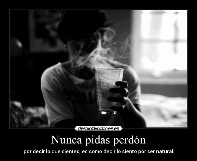 Nunca pidas perdón -
