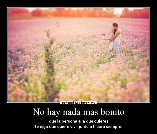 No hay nada mas bonito - que la persona a la que quieres
te diga que quiere vivir junto a ti para siempre.