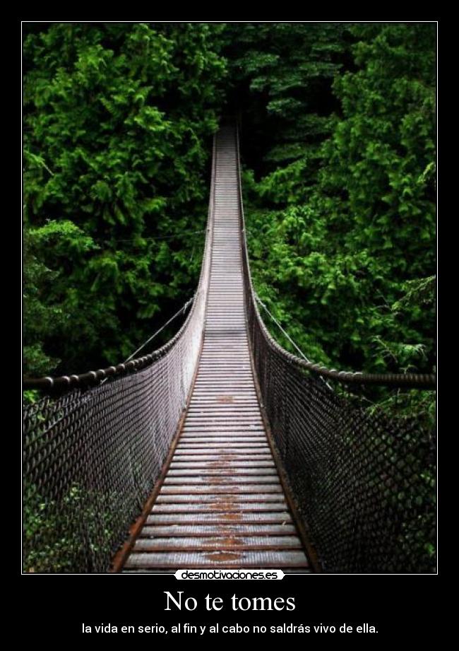 carteles nunca cogeras muaahahahhahahhahahahahahhahah desmotivaciones