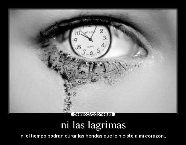 carteles dont pain desmotivaciones