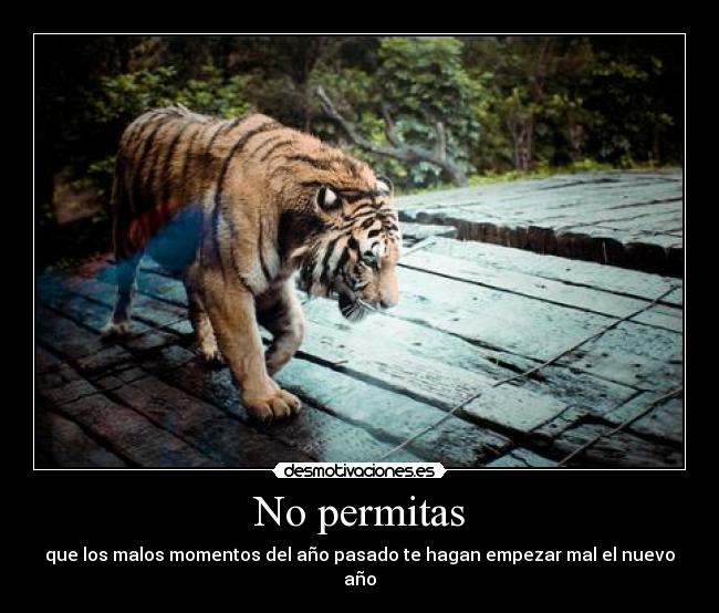 No permitas - 