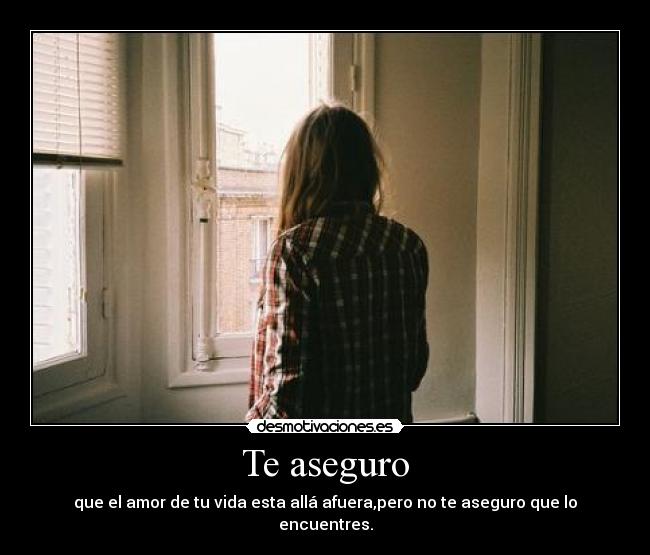 carteles aseguro desmotivaciones