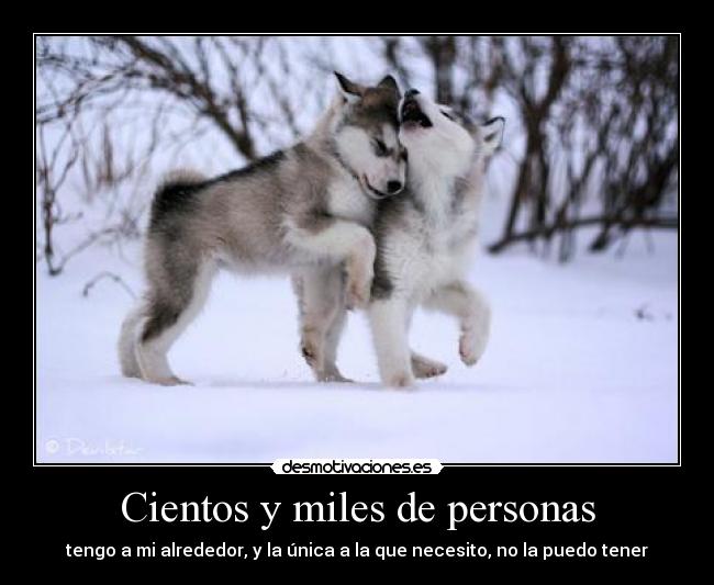 Cientos y miles de personas - 