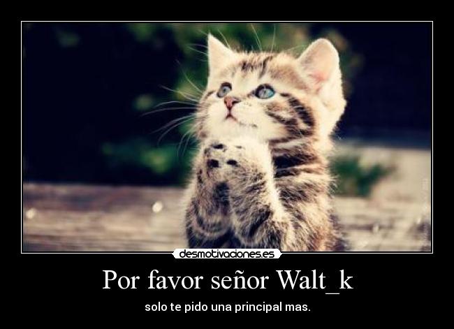 Por favor señor Walt_k - solo te pido una principal mas.