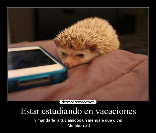 Estar estudiando en vacaciones - y mandarle  a tus amigos un mensaje que dice:
-Me aburro :(