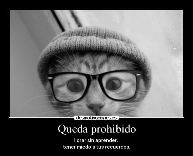 Queda prohibido - llorar sin aprender,
tener miedo a tus recuerdos.