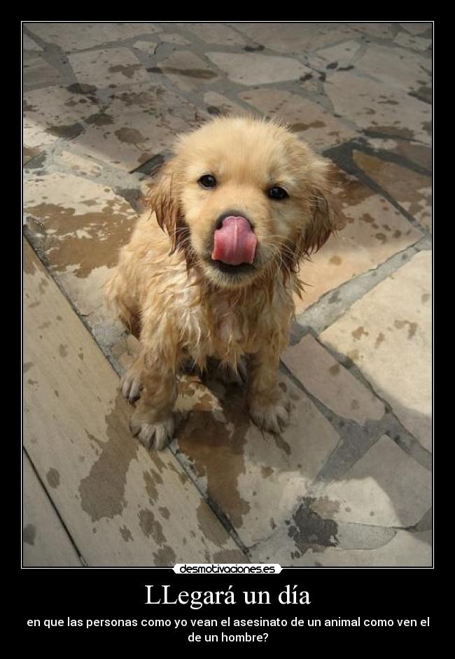LLegará un día - en que las personas como yo vean el asesinato de un animal como ven el
de un hombre?