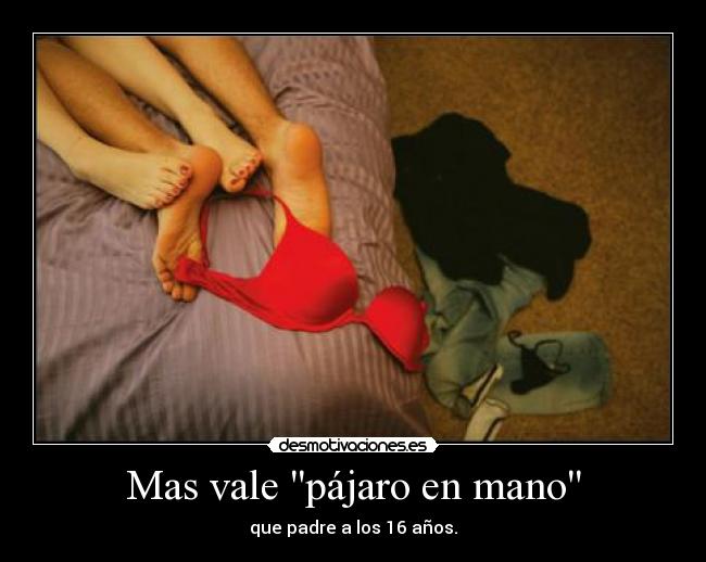 carteles edelweis sus dobles sentidos epuntoe desmotivaciones