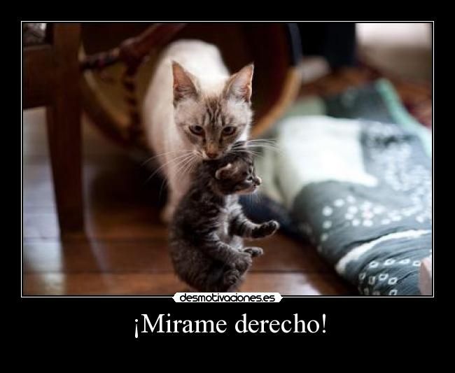 ¡Mirame derecho! - 
