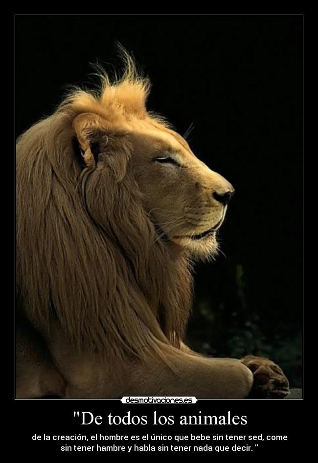 De todos los animales - 