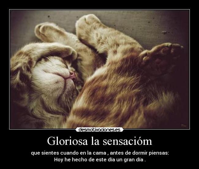 Gloriosa la sensacióm - que sientes cuando en la cama , antes de dormir piensas:
Hoy he hecho de este día un gran día .