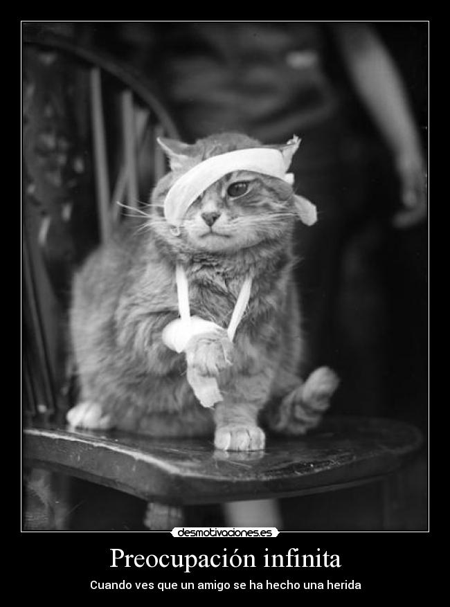 carteles eliyj7 desmotivaciones