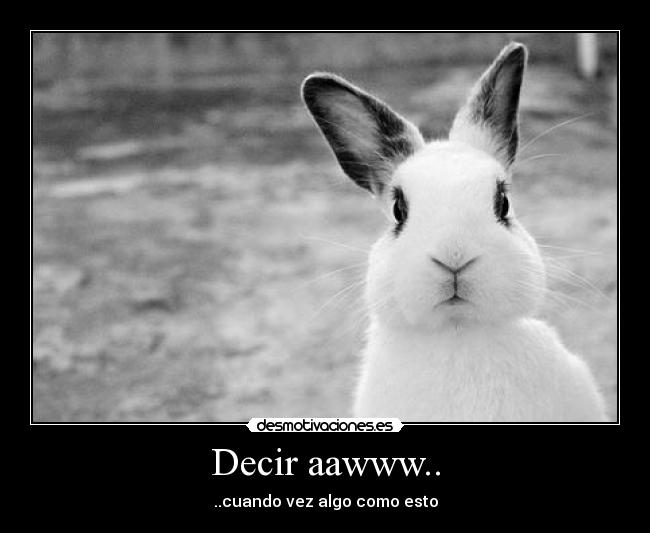 Decir aawww.. - ..cuando vez algo como esto