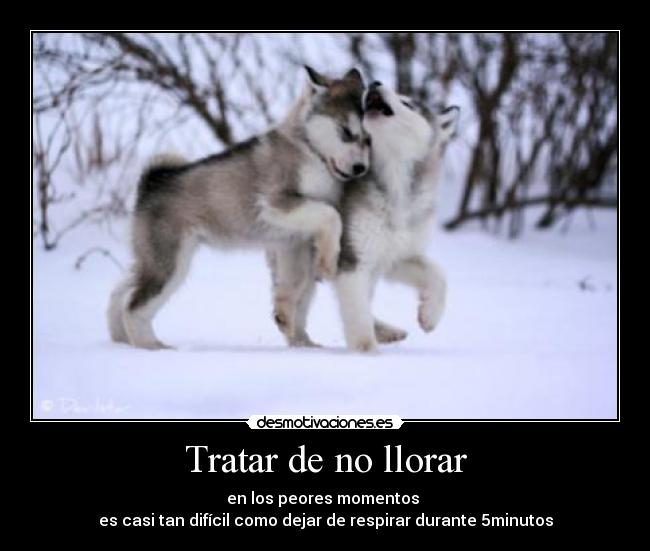 Tratar de no llorar -