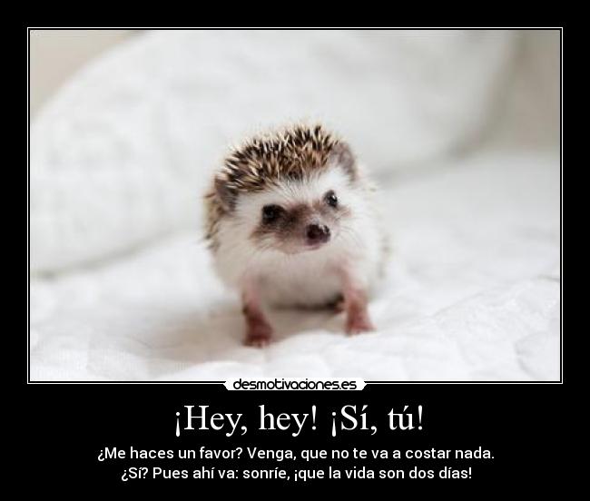 ¡Hey, hey! ¡Sí, tú! - ¿Me haces un favor? Venga, que no te va a costar nada.
¿Sí? Pues ahí va: sonríe, ¡que la vida son dos días!