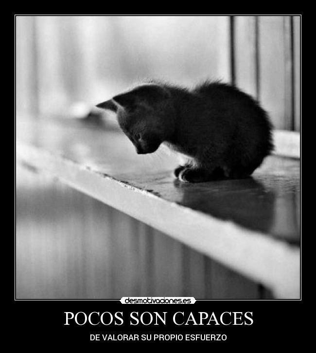 POCOS SON CAPACES - 