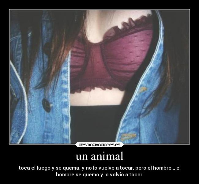 un animal - toca el fuego y se quema, y no lo vuelve a tocar, pero el hombre... el
hombre se quemó y lo volvió a tocar.