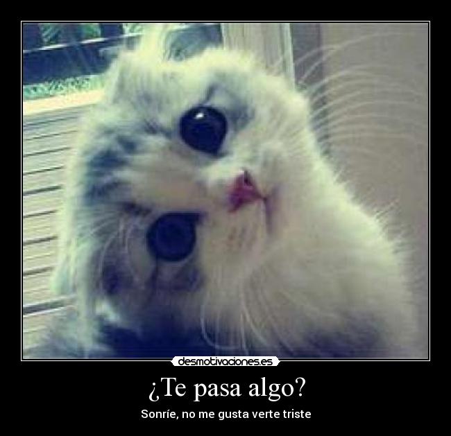 ¿Te pasa algo? - Sonríe, no me gusta verte triste