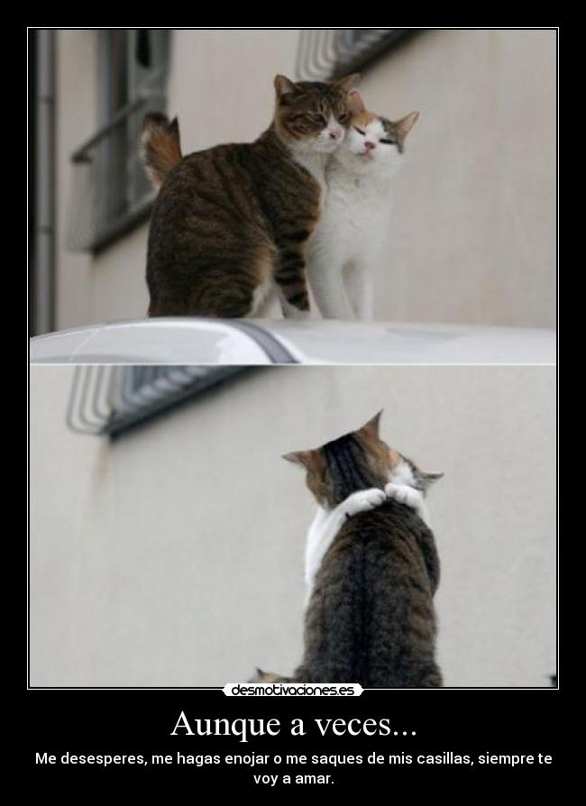 Aunque a veces... -