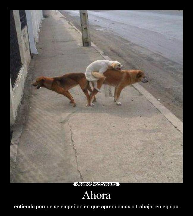 Ahora - entiendo porque se empeñan en que aprendamos a trabajar en equipo.
