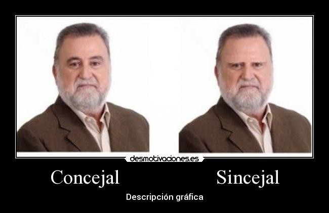 Concejal                   Sincejal - Descripción gráfica