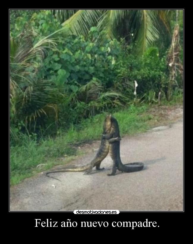 carteles ano nuevo compadre cocodrilos desmotivaciones