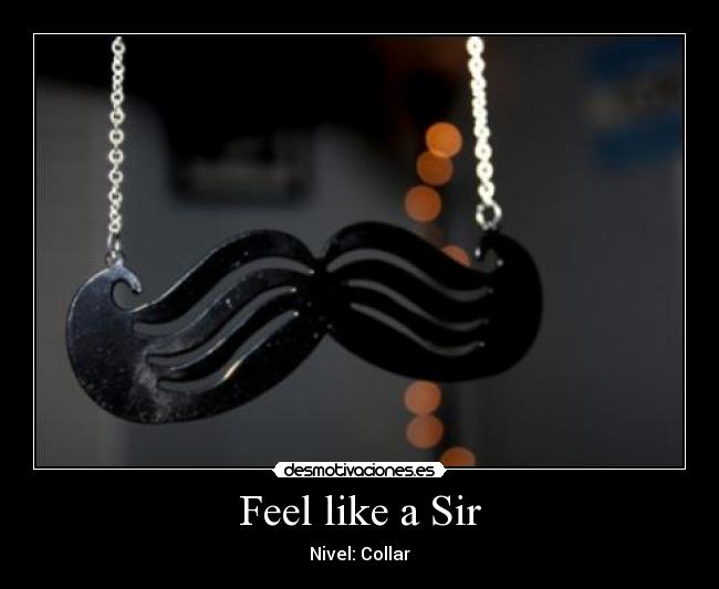 Feel like a Sir -