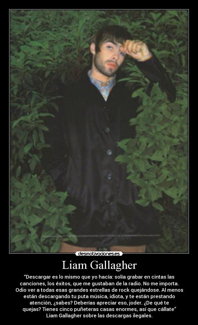 Liam Gallagher - “Descargar es lo mismo que yo hacía: solía grabar en cintas las
canciones, los éxitos, que me gustaban de la radio. No me importa.
Odio ver a todas esas grandes estrellas de rock quejándose. Al menos
están descargando tu puta música, idiota, y te están prestando
atención, ¿sabes? Deberías apreciar eso, joder. ¿De qué te
quejas? Tienes cinco puñeteras casas enormes, así que cállate”
Liam Gallagher sobre las descargas ilegales.