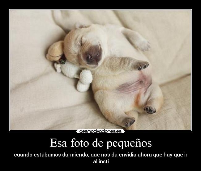 Esa foto de pequeños - cuando estábamos durmiendo, que nos da envidia ahora que hay que ir al insti