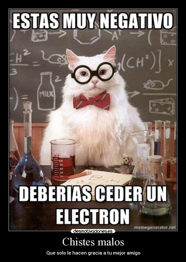 carteles chiste malo hacer gracia mejores amigos gatosnerd desmotivaciones