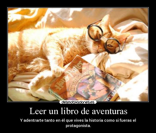 carteles papapitufo gatete desmotivaciones