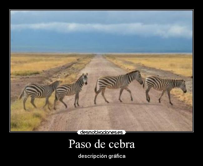 Paso de cebra -