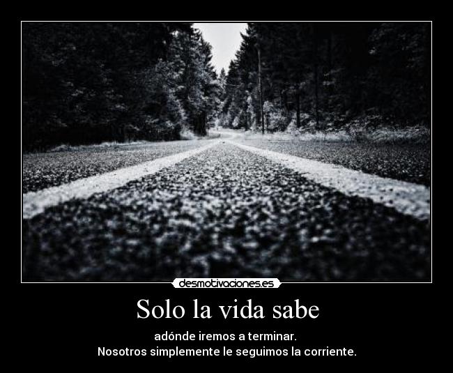 Solo la vida sabe - adónde iremos a terminar.
Nosotros simplemente le seguimos la corriente.