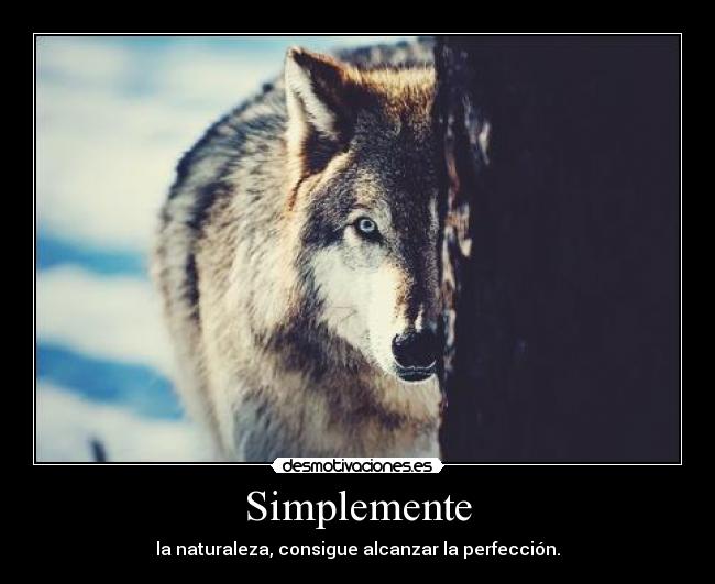 Simplemente -