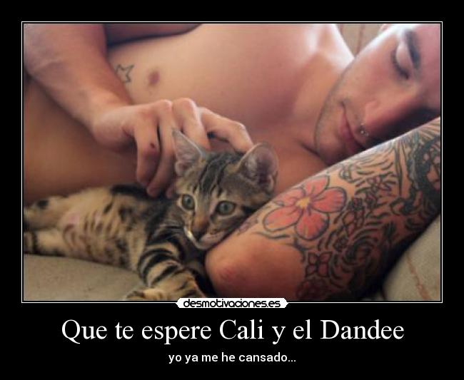Que te espere Cali y el Dandee - yo ya me he cansado...